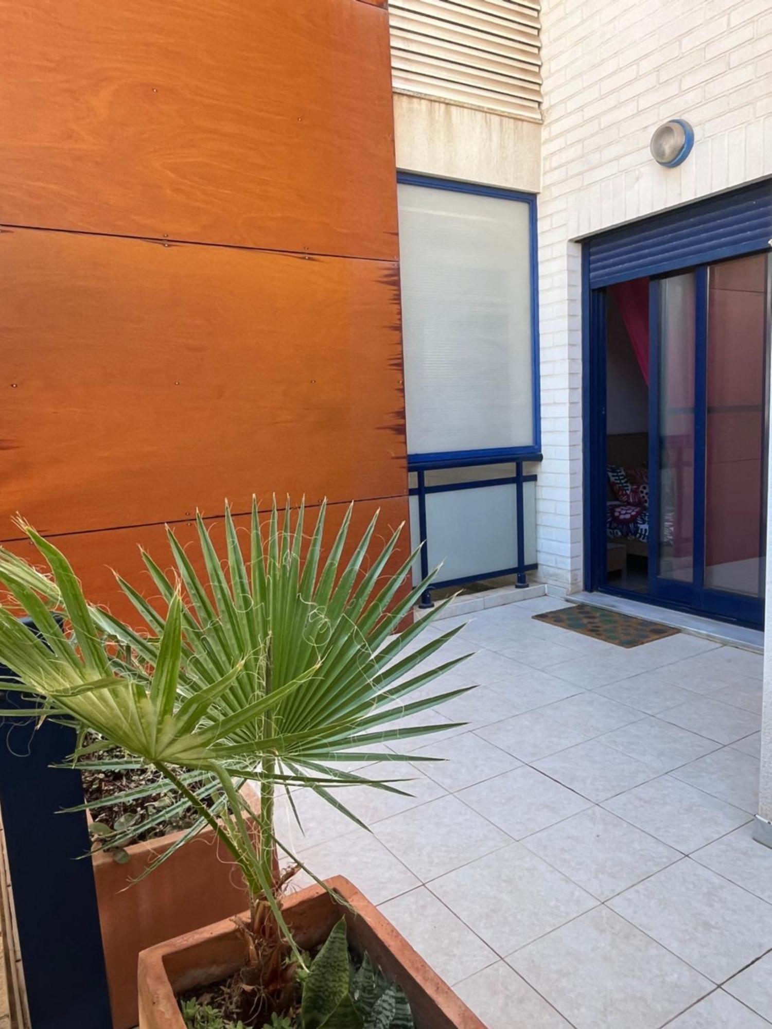 דניה Apartament Sony מראה חיצוני תמונה